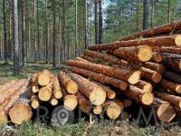 PREVOZ LESA Prevoz hlodov Ugoden prevoz lesa IZLAKAR RUDOLF S.P. Zagorje ob Savi