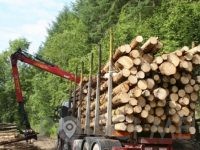 PREVOZ LESA Prevoz hlodov Ugoden prevoz lesa IZLAKAR RUDOLF S.P. Zagorje ob Savi