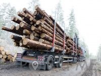 PREVOZ LESA Prevoz hlodov Ugoden prevoz lesa IZLAKAR RUDOLF S.P. Zagorje ob Savi