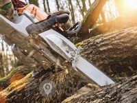 Gozdarske - storitve SEČNJA IN SPRAVILO LESA Uroš Točaj s.p., Mozirje