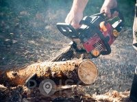 Gozdarske - storitve SEČNJA IN SPRAVILO LESA Uroš Točaj s.p., Mozirje
