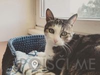 SARA IN MAMA, IZDELAVA UNIKATNIH IZDELKOV IN PRODAJA PREJE, SARA STRUSA s.p. Gradac