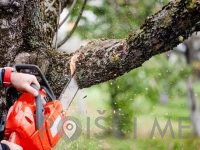 Gozdarske - storitve SEČNJA IN SPRAVILO LESA Uroš Točaj s.p., Mozirje