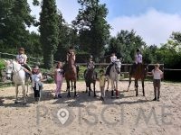 Šola jahanja Ljubljana, KONJENIŠKI KLUB CAVALLO