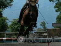 Šola jahanja Ljubljana, KONJENIŠKI KLUB CAVALLO