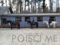 HORSE Šola jahanja Ljubljana, KONJENIŠKI KLUB CAVALLO