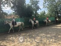 Šola jahanja Ljubljana, KONJENIŠKI KLUB CAVALLO