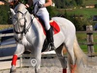 Šola jahanja Ljubljana, KONJENIŠKI KLUB CAVALLO