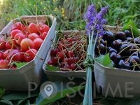 Vera Ledinek, Bio Kmetija Ržen, Šentjanž pri Dravogradu