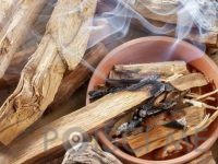 Palo Santo – Sveti les, MARIKS d.o.o.- Celje