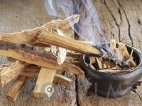 Palo Santo – Sveti les, MARIKS d.o.o.- Celje