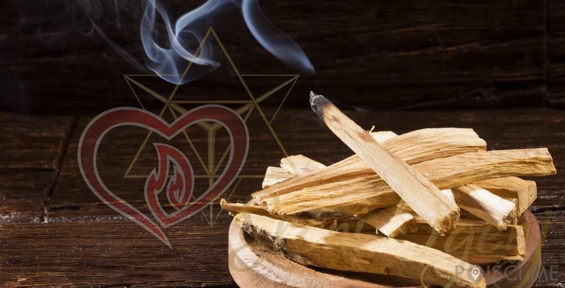 Palo Santo – Sveti les, MARIKS d.o.o.- Celje