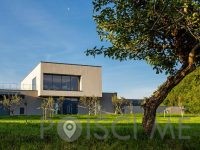 Guerila vina, posestvo Guerila Ajdovščina