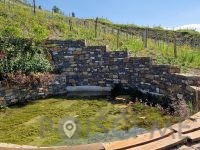Guerila vina, posestvo Guerila Ajdovščina