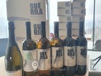 Guerila vina, posestvo Guerila Ajdovščina