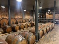 Guerila vina, posestvo Guerila Ajdovščina