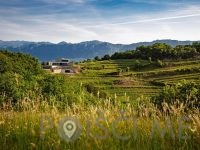 Guerila vina, posestvo Guerila Ajdovščina